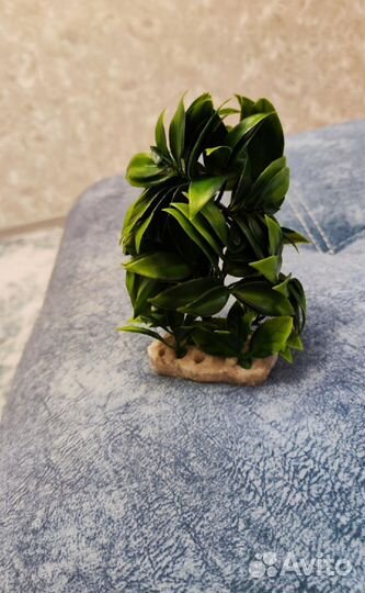 Оборудование для аквариума