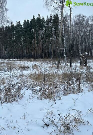 Участок 6 сот. (СНТ, ДНП)