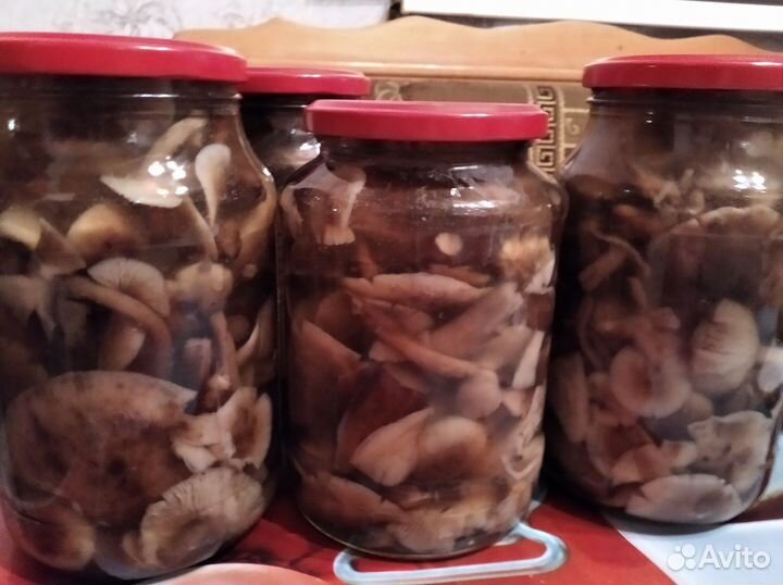 Грибы опята маринованные