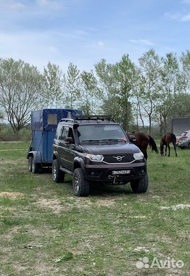 Перевозка лошадей