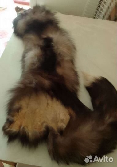 Шкура натуральная