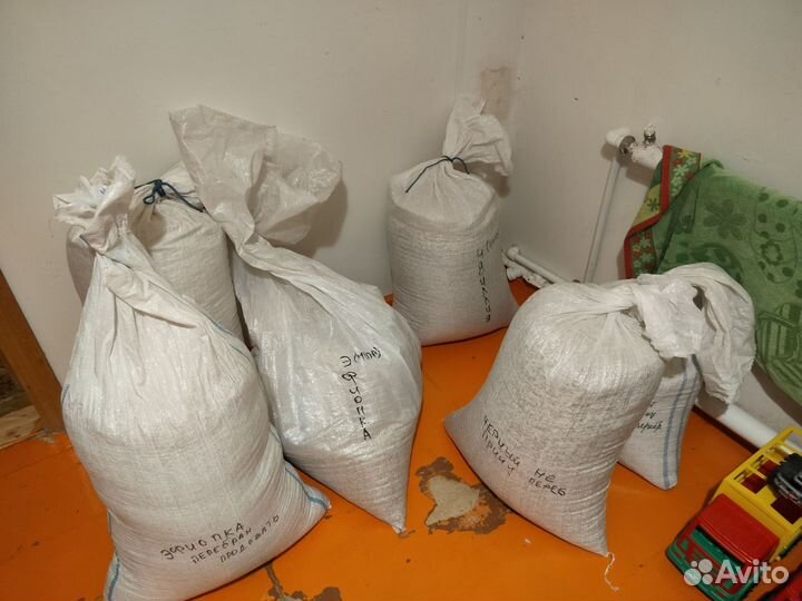 Семена дыни Идиллия, Эфиопка, Славия -черный принц