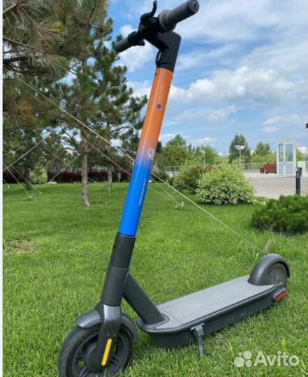 Электросамокаты Ninebot для кикшеринга