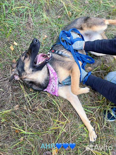 Маленькая Берта ищет дом