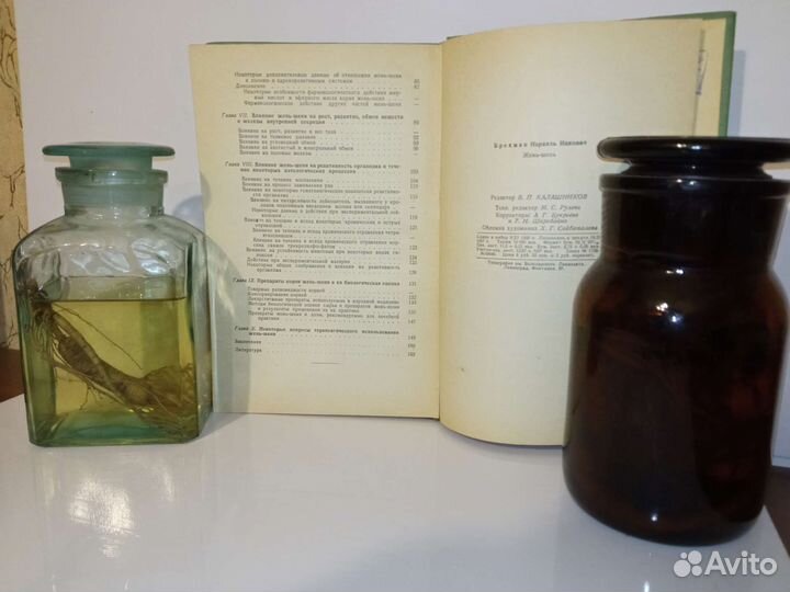 Сад, ландшафт, лекарственные растения