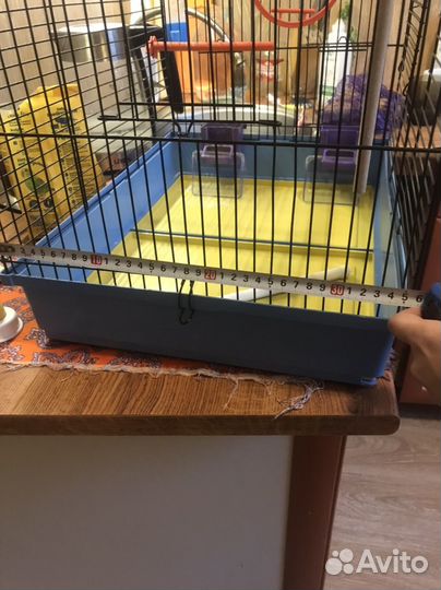 Клетка для попугая