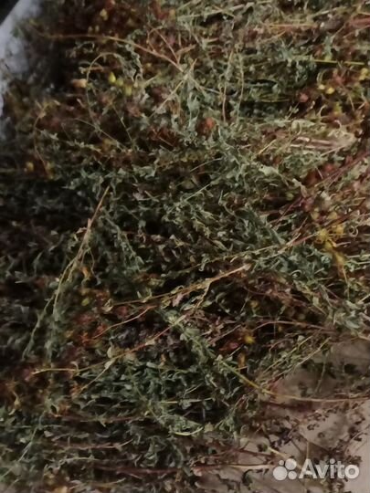 Чайный сбор, зверобой трава, облепиха, шиповник