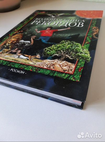 Большая книга рекордов