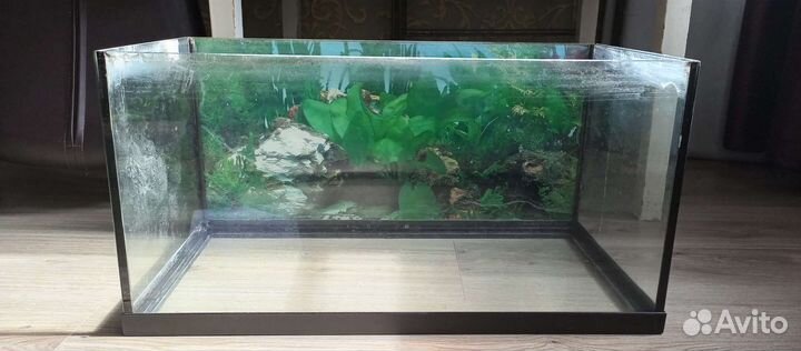Аквариум