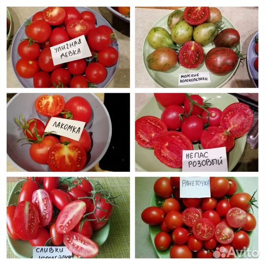 Томаты сортовые красные, семена