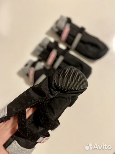 Сапожки для собак