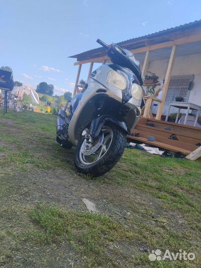 Скутер рейсер