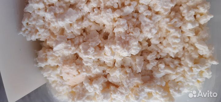 Козье молоко, творог, сыр, яйцо куриное