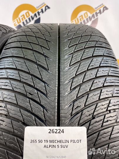 Michelin Pilot Alpin 5 SUV 265/50 R19 113T