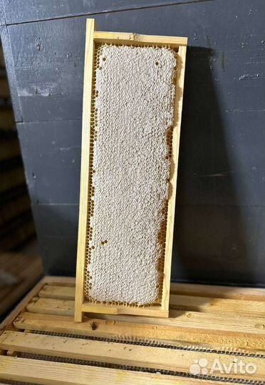 Рамка меда в сотах (доставка по Тюмени 50)