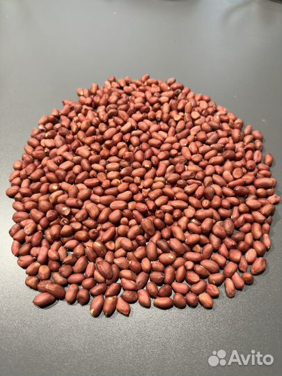 Арахис оптом