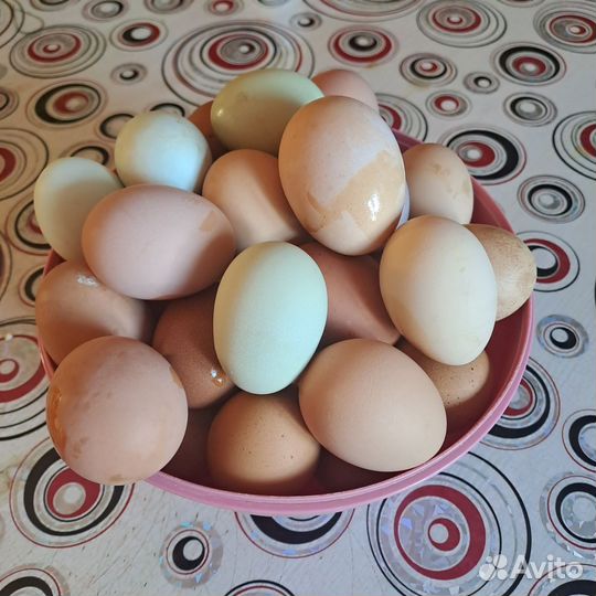 Домашние куриные яйца