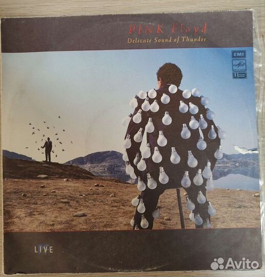 Виниловая пластинка Pink Floyd - Delicate Sound