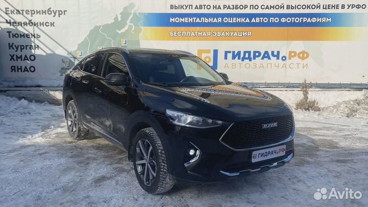 Стекло двери задней левой Haval F7x 2