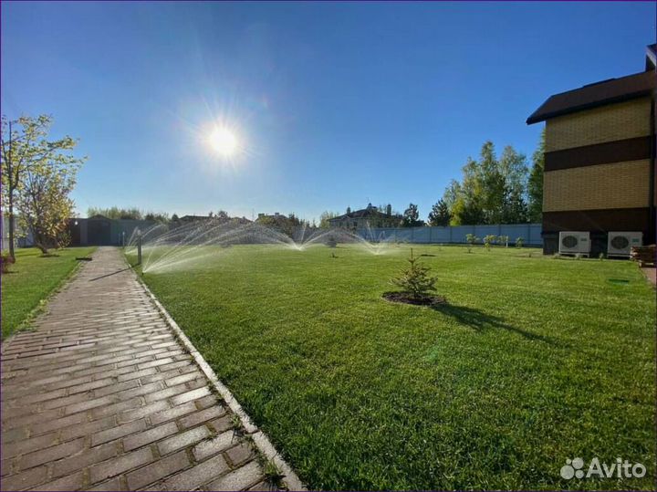 Рулонный газон