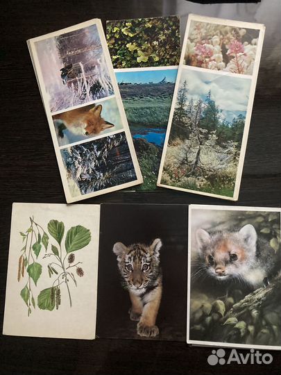 Открытки СССР