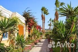 Тур в египет