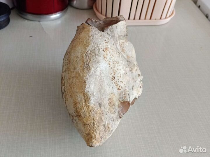 Кальцитовая конкреция