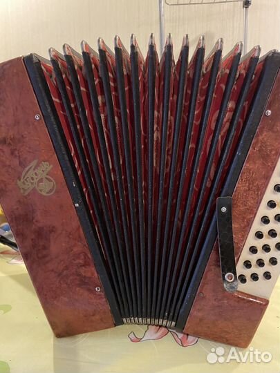 Гармонь кубань