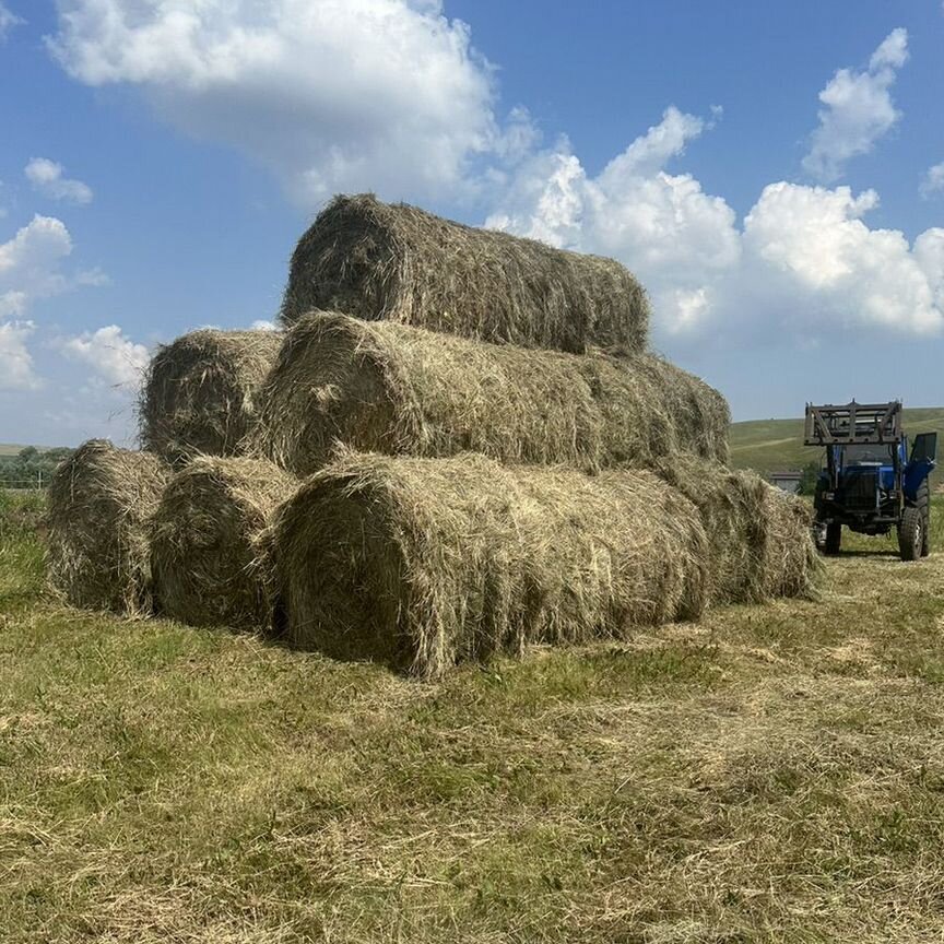 Сено в рулонах