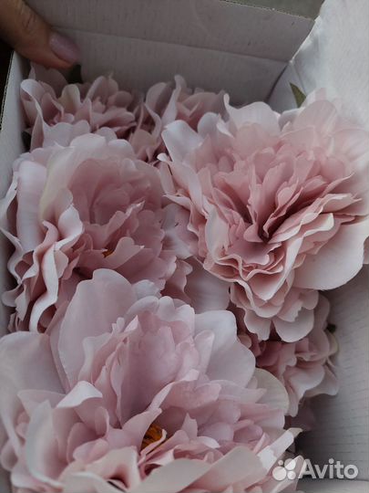 Искусственные пионы