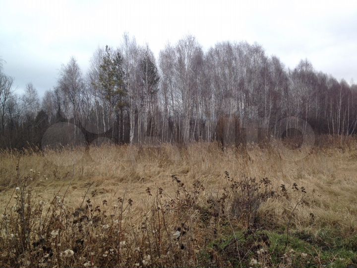 Участок 10,1 сот. (СНТ, ДНП)