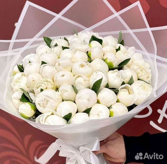 Пионы Букет