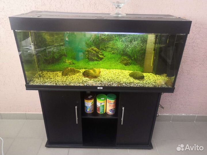 Аквариум с тумбой juwel 200л