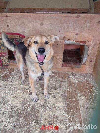 Солнечная Марта ищет дом