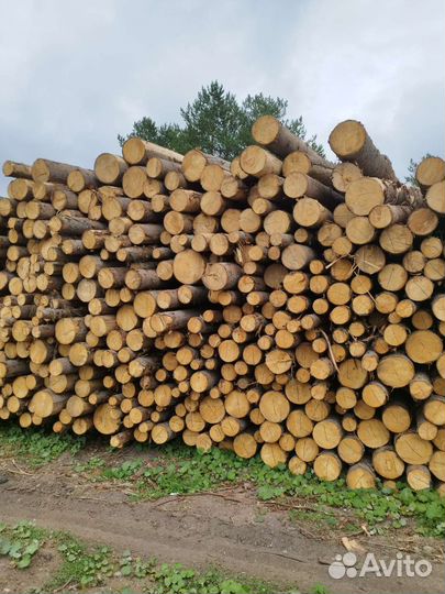Пиломатериалы брус доска лес