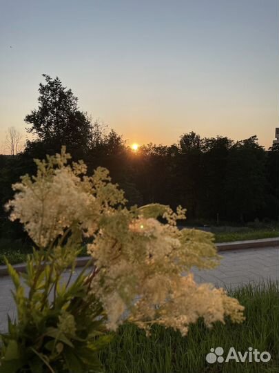 Слушатель собеседник заместитель