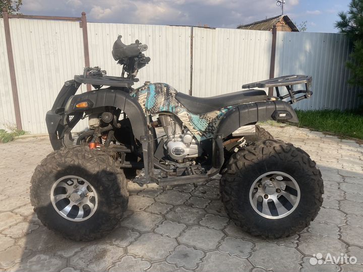 Квадроцикл Grizzly 250
