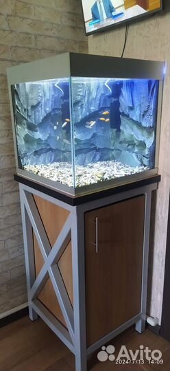 Аквариумы доставка пэк