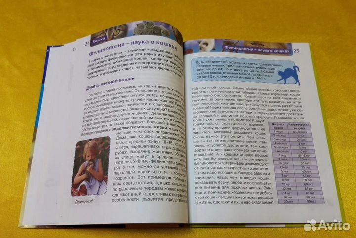 Кoшки. Энциклoпeдия знaний. Елена Широнина