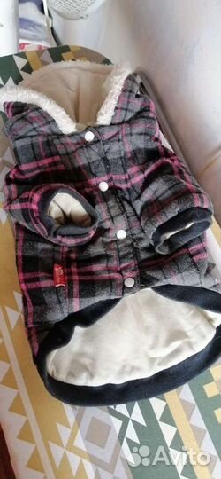 Одежда для собачкирт