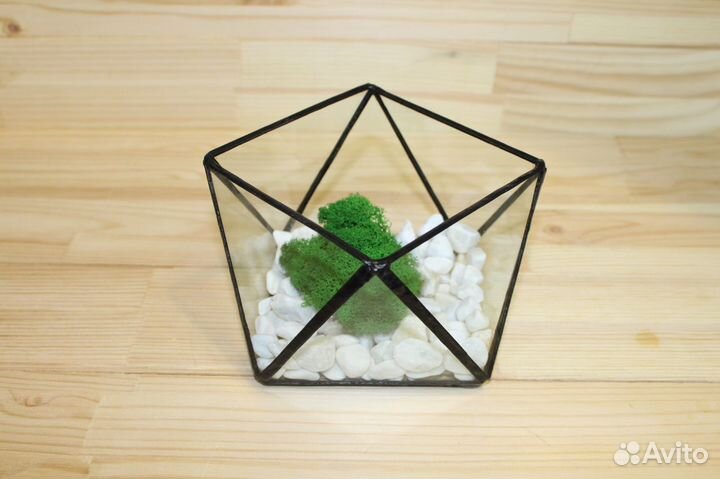Флорариум. Геометрическая ваза из стекла