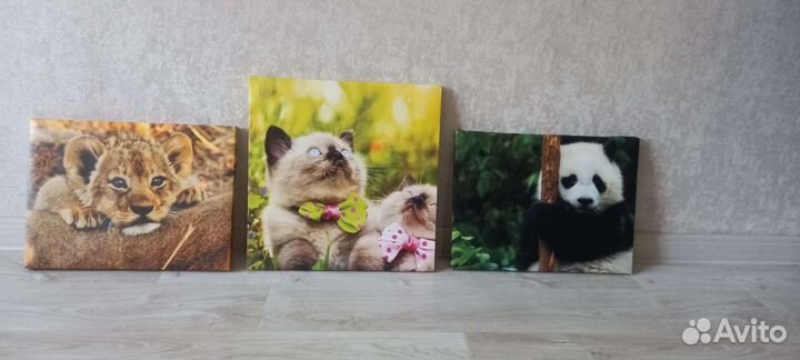 Картина печать на холсте