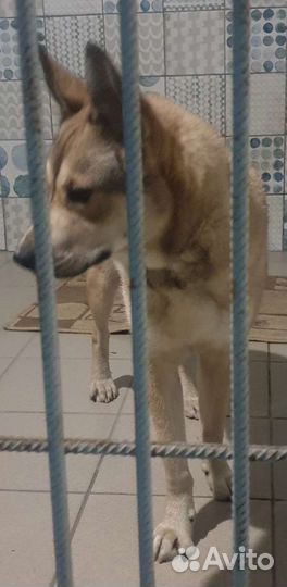 Ваш будущий друг очень ждет