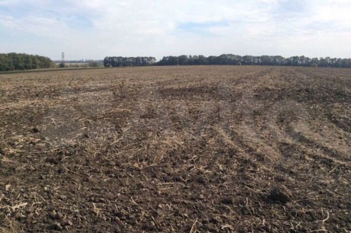 Участок 4,9 га (СНТ, ДНП)