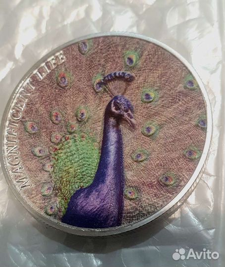 Монета 1 доллар