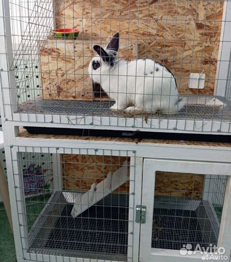 Клетка для декоративного кролика