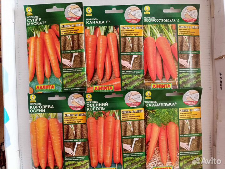 Семена моркови