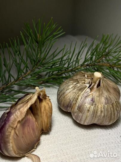Чеснок 