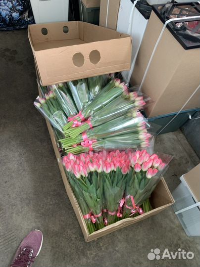 Розы Букеты Пионы Цветы 51 101 Роза