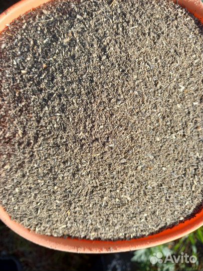 Жмых подсолнечный молотый (макуха) Шрот